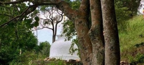 dhamma-kuta-vipassana-meditation-centre-peradeniya