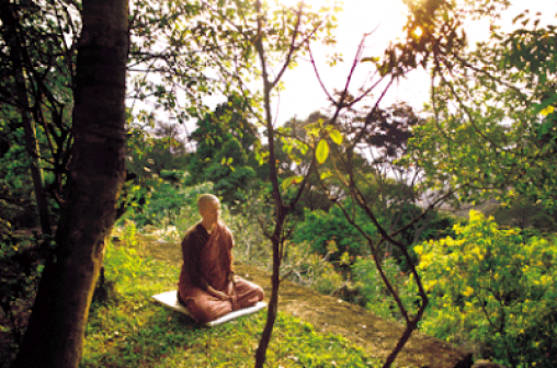 paramitha-international-buddhist-meditation-center-kadugannawa