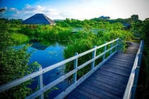 wetland-tour-battaramulla